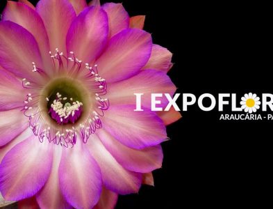 Expoflora 08 a 12 de maio