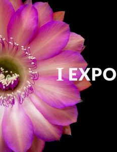 Expoflora 08 a 12 de maio